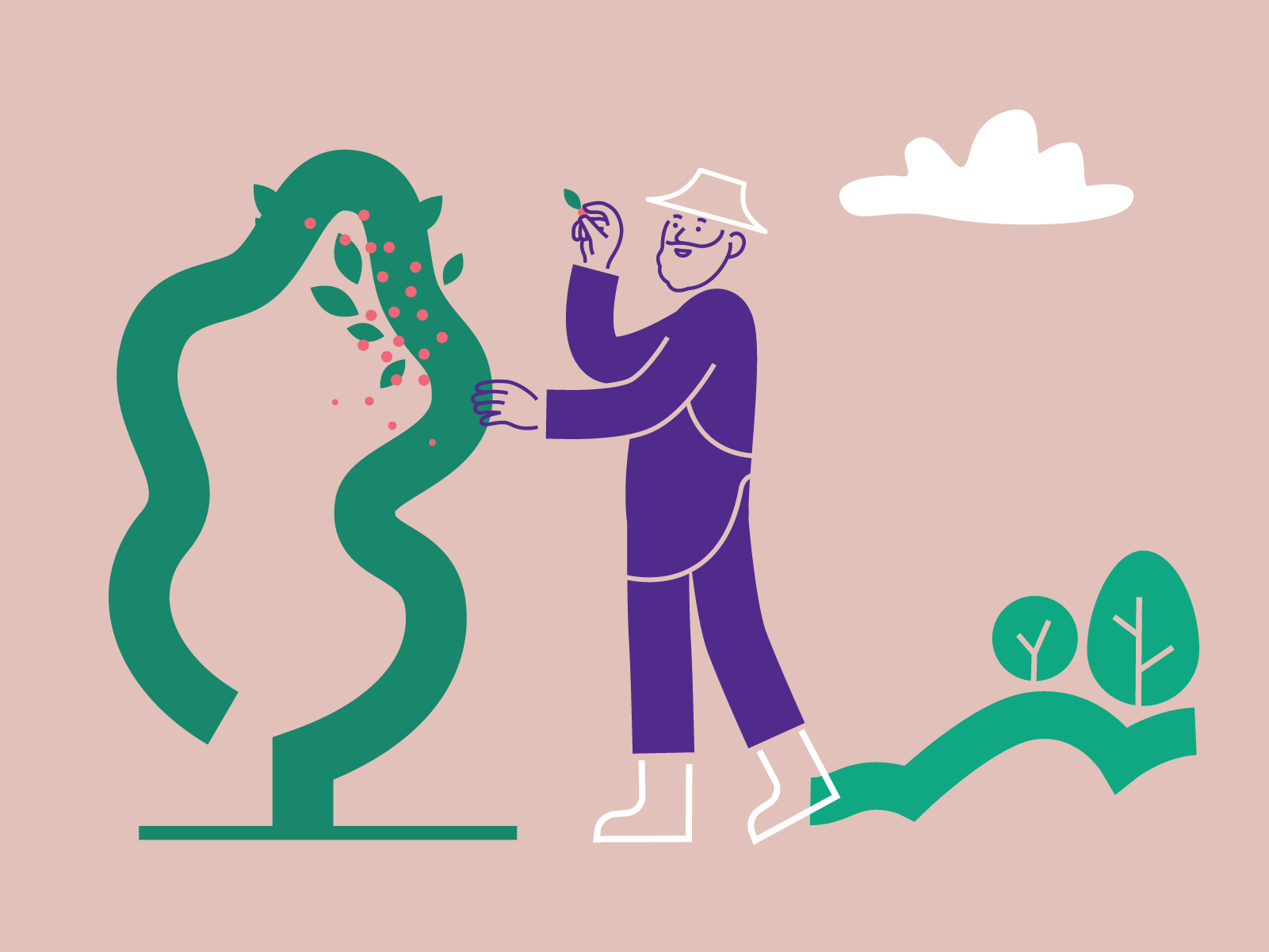 Dirk Rittberger Portfolio